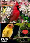 DVD 17 - P�ssaros Livres - Sons P�ssaros Brasil